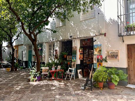 La Plaza de la Alianza (7): la barreduela del Pozo Seco.