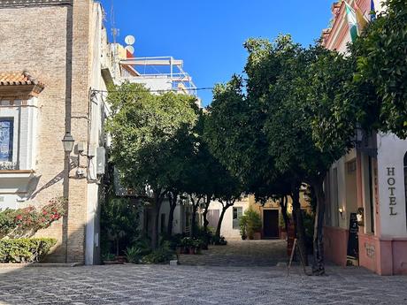 La Plaza de la Alianza (7): la barreduela del Pozo Seco.