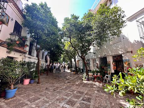La Plaza de la Alianza (7): la barreduela del Pozo Seco.
