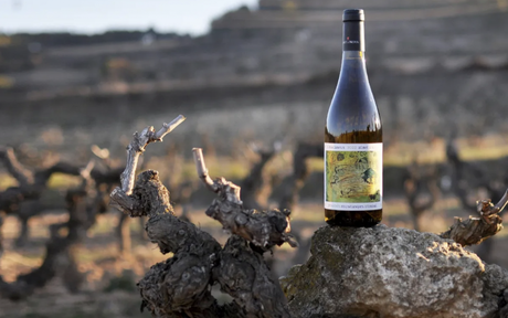 Vinos para superar la ‘cuesta de septiembre’