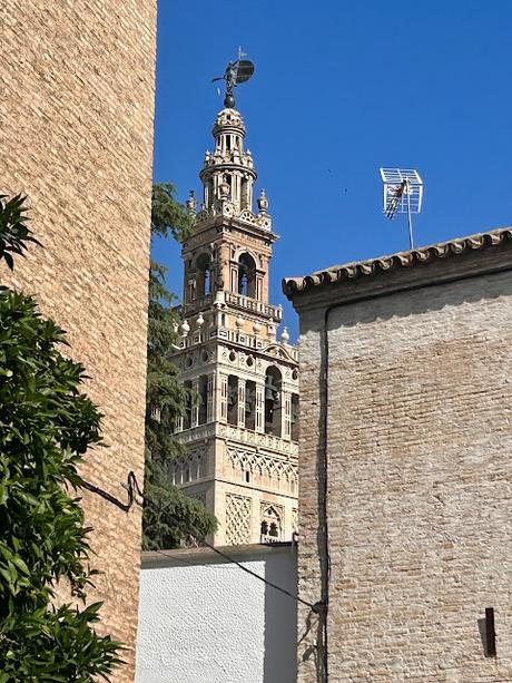 La Plaza de la Alianza (8): vistas de la Giralda.