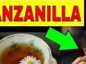 Descubre beneficios manzanilla para riñón: remedio natural alivia protege