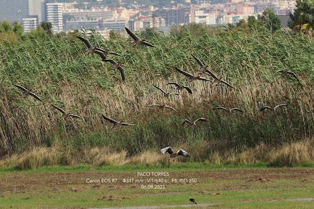 Entre el cielo y la tierra