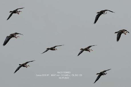 Entre el cielo y la tierra