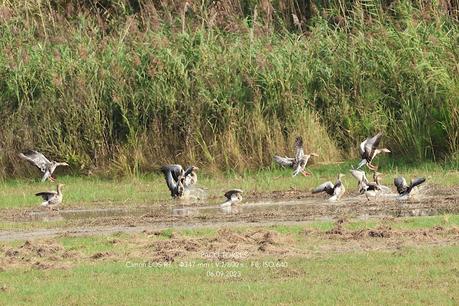 Entre el cielo y la tierra