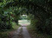 importancia espacios verdes beneficios