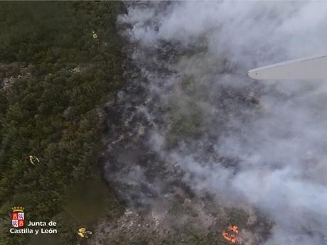 Argelia expresa su solidaridad con Marruecos y reabre el espacio aéreo para el envío de ayuda humanitaria