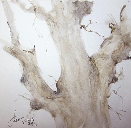 Un roble, una novela y cuatro versiones