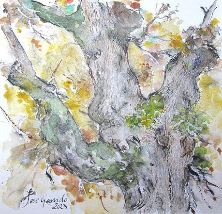 Un roble, una novela y cuatro versiones