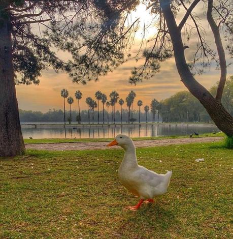 San Luis Potosí celebra 40 años de su pulmón verde: Parque Tangamanga