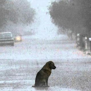 BAJO LA LLUVIA TE ESPERÉ...