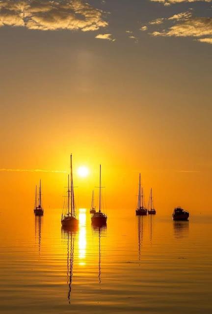 Confusión y oscuridad por doquier.