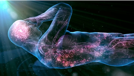 El Cuerpo de la Mente