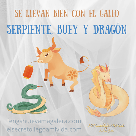 Septiembre Mes del Gallo