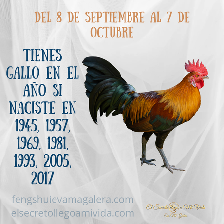 Septiembre Mes del Gallo