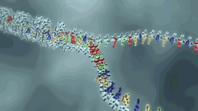 Trucos ingeniosos del ADN