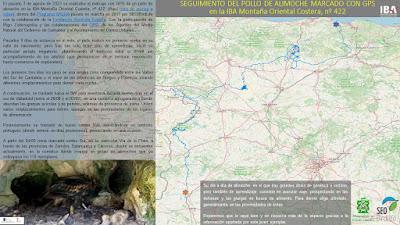 LA MIGRACIÓN DE LAS AVES: COMIENZA EL FESTIVAL