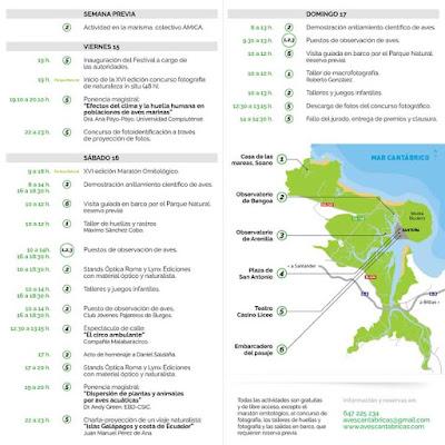 LA MIGRACIÓN DE LAS AVES: COMIENZA EL FESTIVAL
