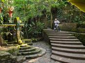 Rider japonés recorre increíbles piruetas Jardín Surrealista Edward James México