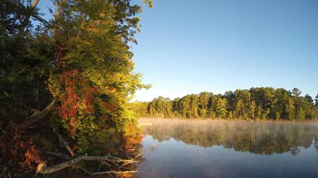 15 mejores lagos en Georgia Richard B Russell Lake