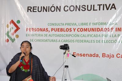 EL INDIOMETRO Y LA AUTOADSCRIPCIÓN CALIFICADA