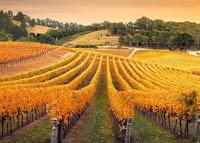 De vuelta a casa de Kate Morton