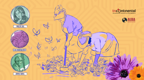 Crisálidas: Memorias feministas de América Latina y el Caribe