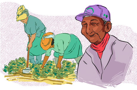 Crisálidas: Memorias feministas de América Latina y el Caribe