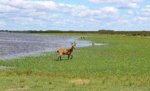 El hermoso Parque Nacional que está ubicado a una hora del Obelisco