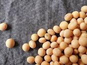 Monsanto-Bayer propiedad semilla soja