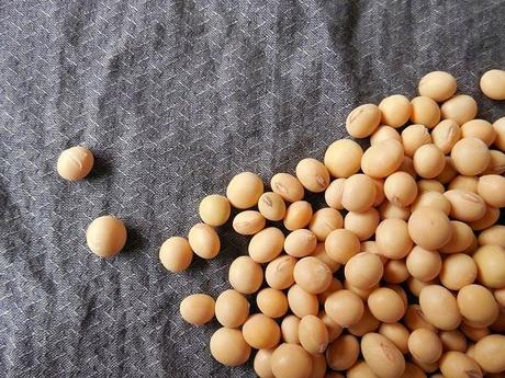 Monsanto-Bayer va por la propiedad de una semilla de soja