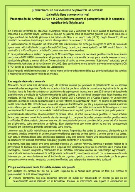Monsanto-Bayer va por la propiedad de una semilla de soja