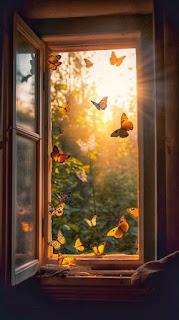 5.602 - POR LA VENTANA... 5.602 - POR LA VENTANA...