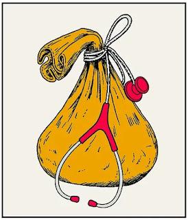 De la memoria ardiente de Chile