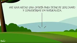 De las anomalías españolas