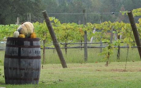 15 mejores cosas que hacer en Albertville (AL)