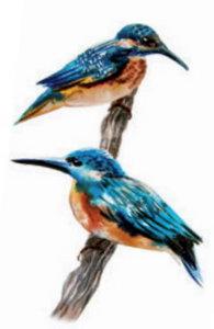 «La leyenda de las mareas mansas», de Irene Vallejo (ilustraciones de Lina Vila)