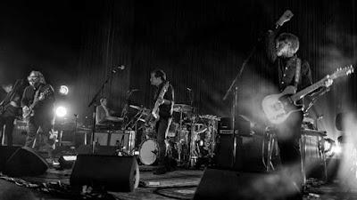 Wilco - Cousin (2023) Wilco - Cousin (2023)