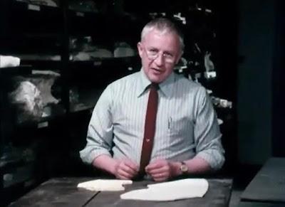 The Hot-Blooded Dinosaurs (1977)