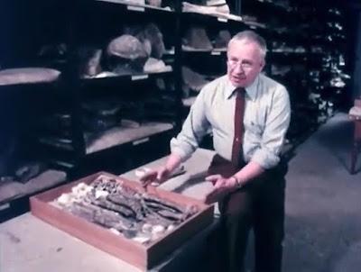 The Hot-Blooded Dinosaurs (1977)