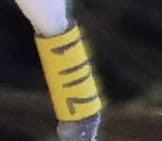 Garcilla bueyera 7U1