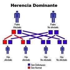 herencia El cáncer ¿es hereditario?