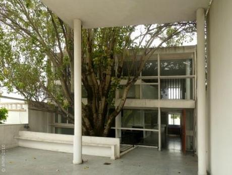 Arquitectura y cine en Argentina: Le Corbusier y Salamone