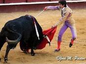 Castella: plaza torear, matar toro…'