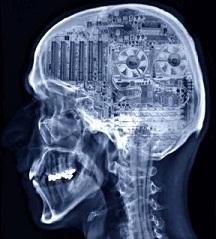 El cerebro y los ordenadores (comentario de Michael)