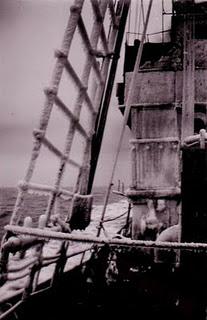 Führerdirektive Nr. 39: Abandono de las Operaciones Ofensivas en el Frente Este - 08/12/1941.
