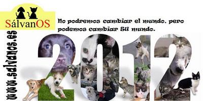 Regalos solidarios para estas Navidades.