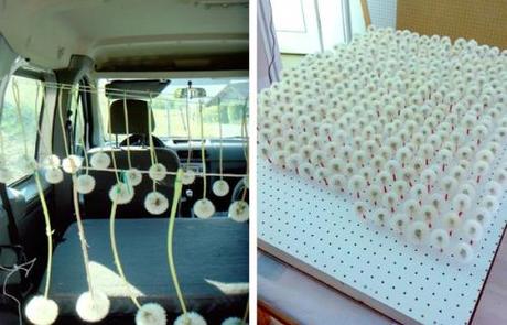 Unas pildoritas ( de creatividad).