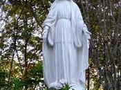 Inmaculada Concepción María.Por arma Árbol Navidad hoy?