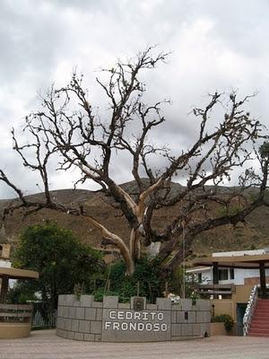NAVIDAD EN HUANCAVELICA II : RECUERDOS DE PILCHACA